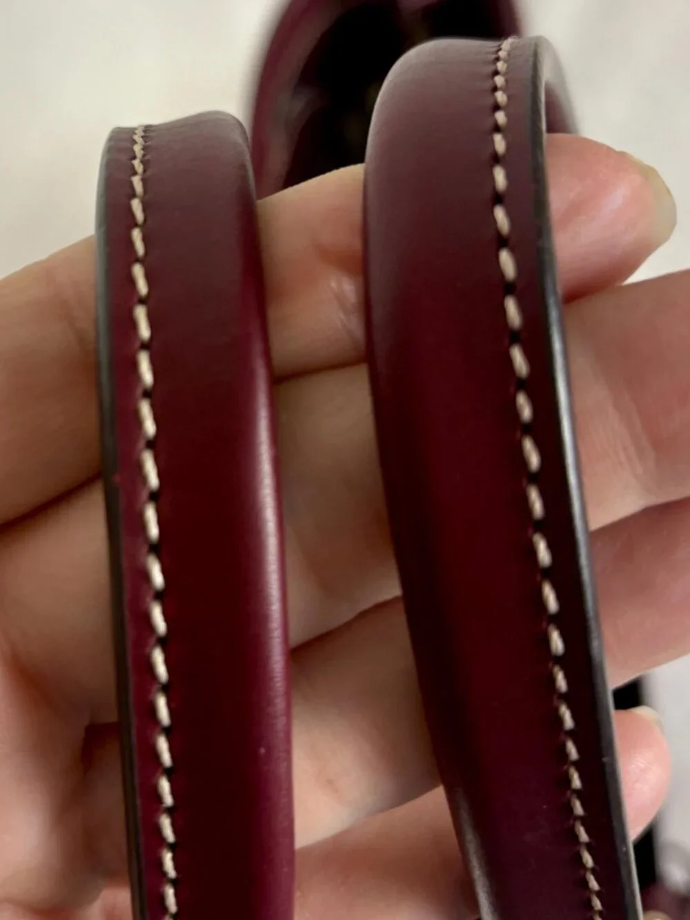 Dooney & Bourke Beacon Collection Slip Tote in Matte Bordeaux Vacchetta Leather